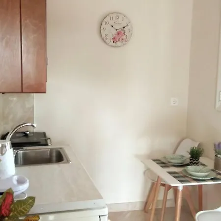 Apartment Olga *