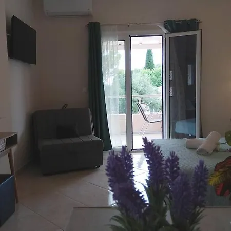 Olga Apartment Mesongi