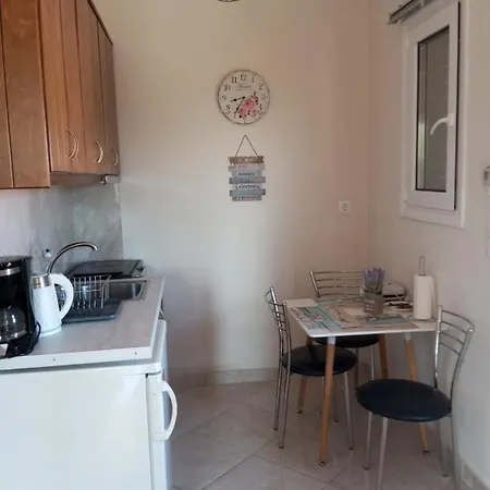 Apartment Olga *